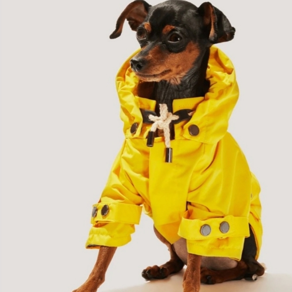Talon Xs & S Yellow Detachable Hood Raincoat NWT